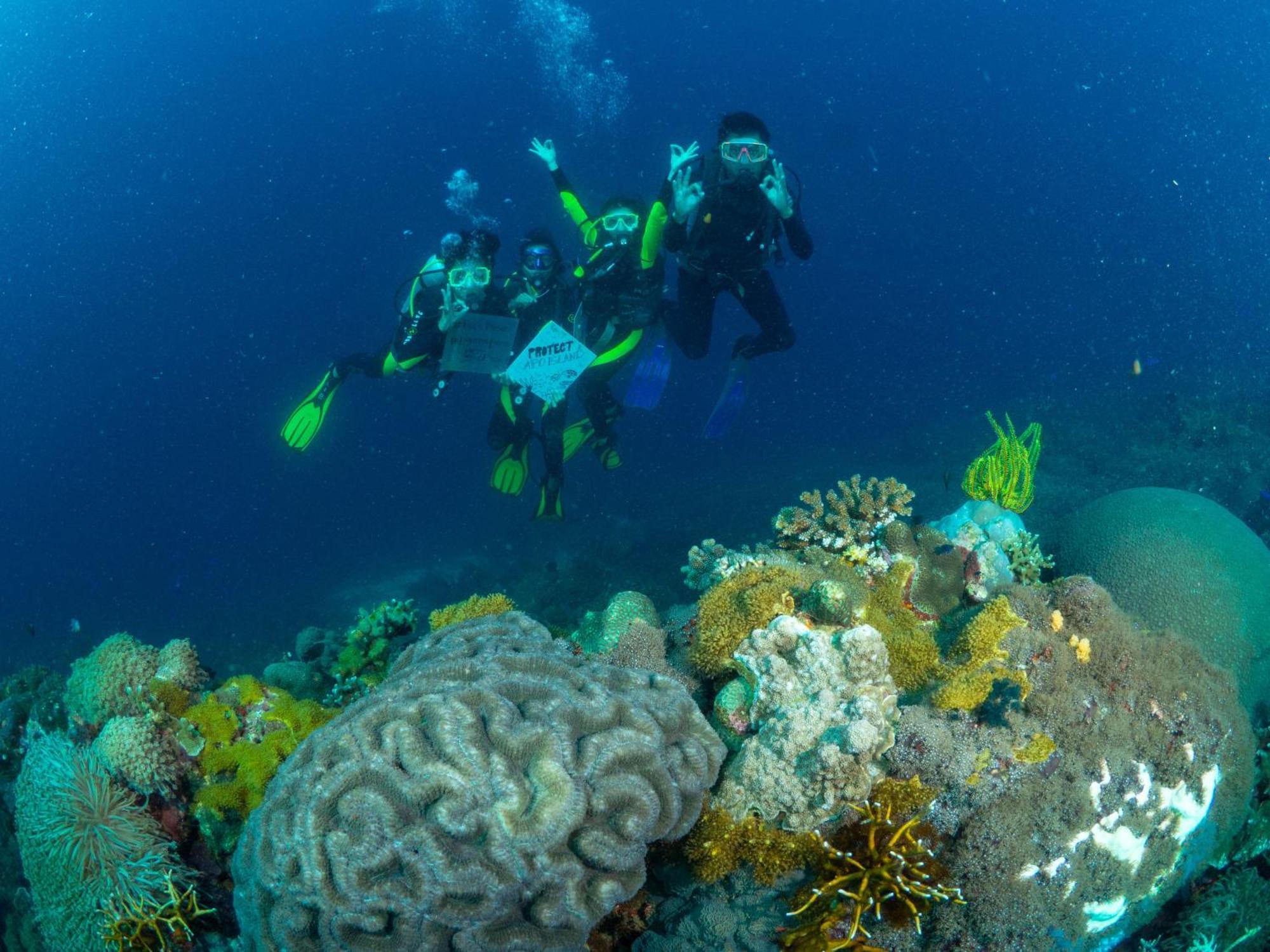 Liberty'S Lodge And Diving - Apo Island Dumaguete City Zewnętrze zdjęcie