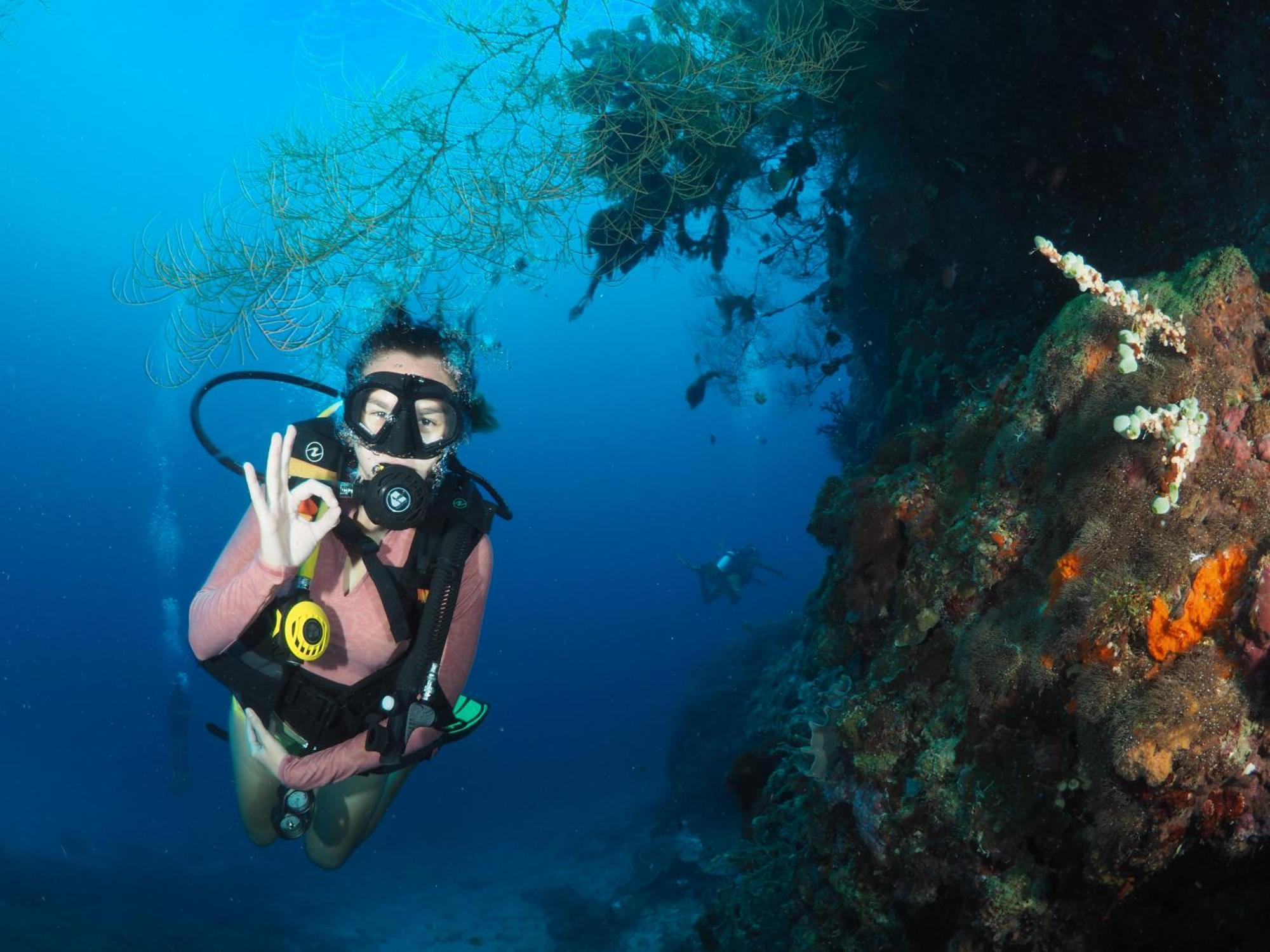 Liberty'S Lodge And Diving - Apo Island Dumaguete City Zewnętrze zdjęcie