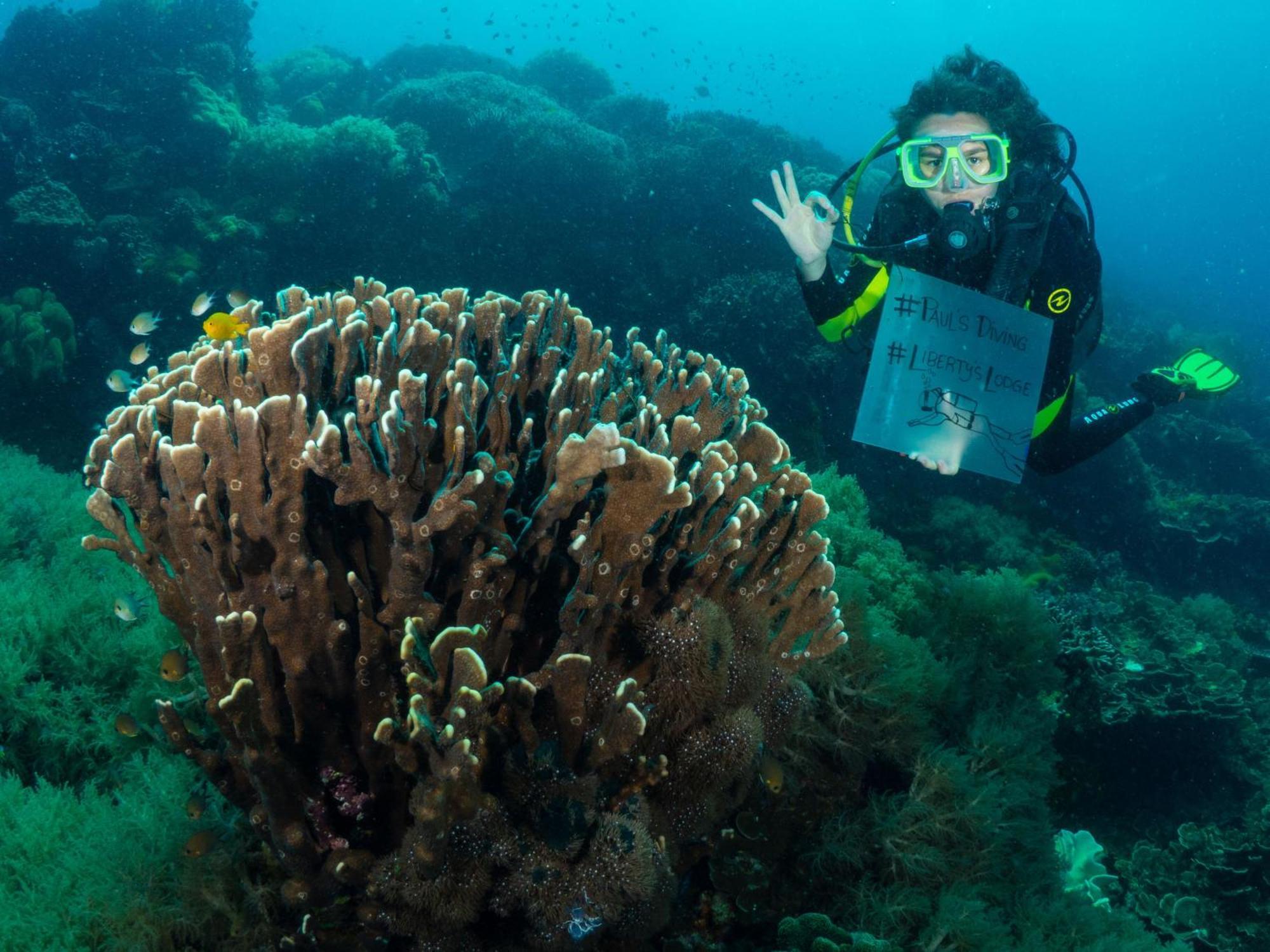 Liberty'S Lodge And Diving - Apo Island Dumaguete City Zewnętrze zdjęcie